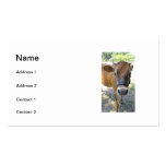 Bessie Business Card Templates