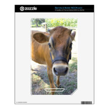 Bessie NOOK Color Skins