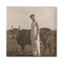 Bessie the Cow magnets