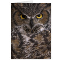 Best Bib and Tucker Greeting Card