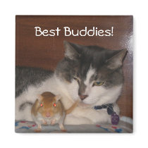 Best Buddies 2" Magnet by OurSouthernCharm Best Buddies 2" Magnet