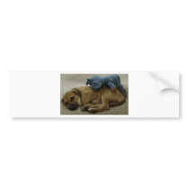 Best Buddies Bumper Sticker