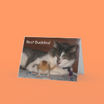 Best Buddies Friendship Card
