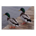 Best Buds cards