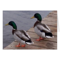 Best Buds Greeting Card