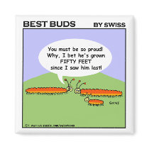 Best Buds Cartoon Caterpillar Fridge Magnet by Swisstoons Best Buds Cartoon Caterpillar Fridge Magnet