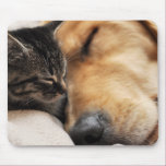 Best Buds Mousepads
