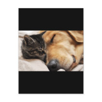 Best Buds Post Card