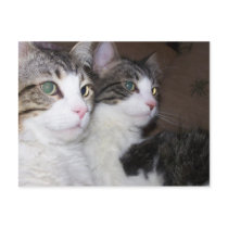 Best Buds Post Card