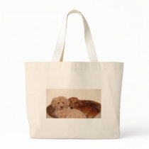 Best budy bag
