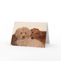 Best budy greeting cards