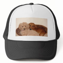 Best budy hats