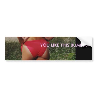 BEST BUMPER BUMPER STICKERS by ashmichhenusa