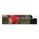 BEST BUMPER BUMPER STICKERS