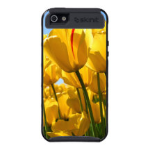 best case ever iPhone 5 cover