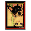 Best Dog cards