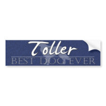 Best Dog Duck Toller Bumper Sticker bumper stickers by MenagerieMayhem Best Dog Duck Toller Bumper Sticker bumper stickers