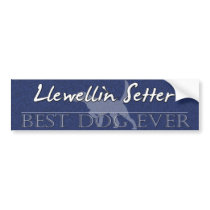 Best Dog Llewellin Setter Bumper Sticker bumper stickers by MenagerieMayhem Best Dog Llewellin Setter Bumper Sticker bumper stickers