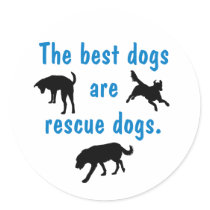 Best Dogs Sticker by dogplay Best Dogs Sticker