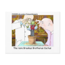 Best-Dressed Cactus Funny Gifts & Collectibles Post Cards