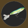 Best Fishing Baits for Bass and other fish