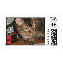 BEST FRIEND:  ALLEY CAT postage