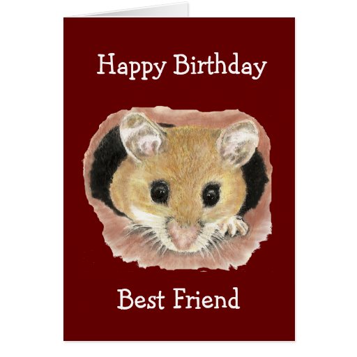 Best Friend Birthday Cute Peeking Mouse Fun Cards