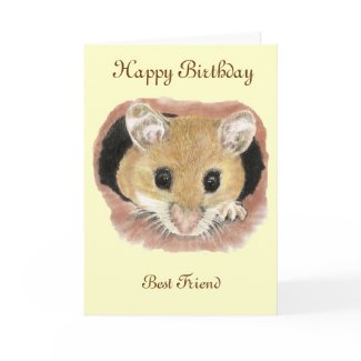 Best Friend Birthday Mouse Best Friend Birthday Mouse