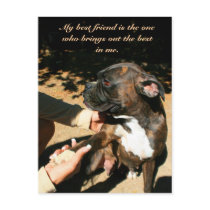 Best friend boxer postcard by ritmoboxer Best friend boxer postcard