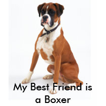 Best Friend Boxer t-shirts by MuseMagic Best Friend Boxer t-shirts