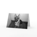 Best Friend cards by allie77cat Best Friend cards