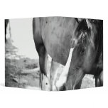 Best friend "horse" binder