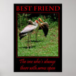 Best Friend Poster