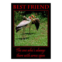 Best Friend Poster posters