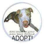 best friend sticker
