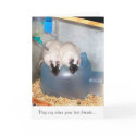 Best Friends 1 cards by Shokara Best Friends 1 cards