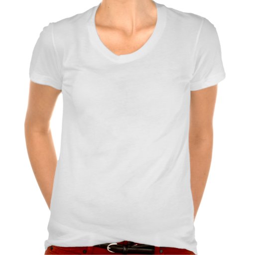 Best friends - a heroic twitter ballad tee shirts