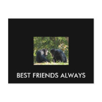 BEST FRIENDS ALWAYS postcards by tina312 BEST FRIENDS ALWAYS postcards