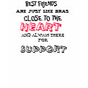 BEST FRIENDS AND BRAS t-shirts