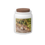 Best Friends Baby Chipmunks Candy Dish