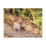 Best Friends Baby Chipmunks Post Card