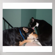 Best Friends bath time poster