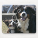 Best Friends Bernese Mousepad