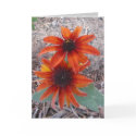Best Friends Card