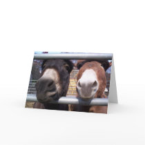 Best Friends cards by Naturology Best Friends cards