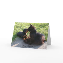 Best Friends cards