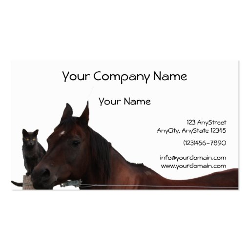 Best Friends Cat and Horse Cuddle Up Business Cards (front side)