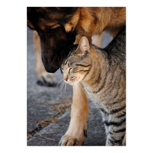 Best Friends- Cat & German Shepherd Business Cards (front side)