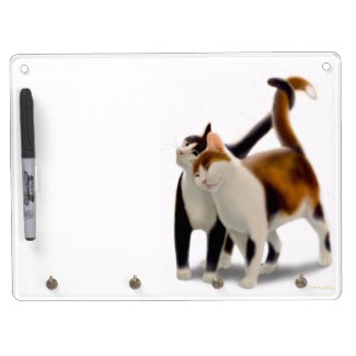 Best Friends Cats Dry Erase Board