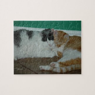 Best Friends Cats Puzzle puzzle